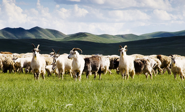 持續(xù)研發(fā)，自主專利